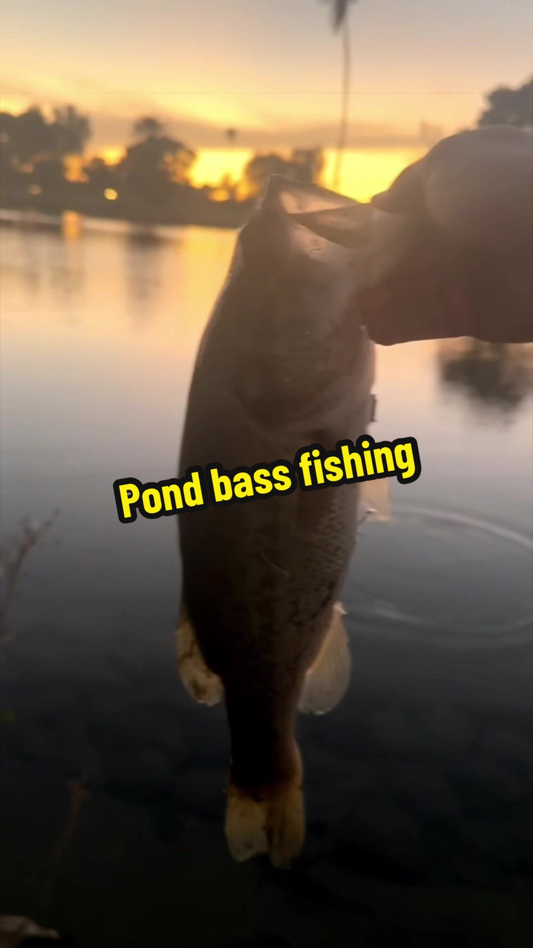 @Luu Nguyen Fishing
