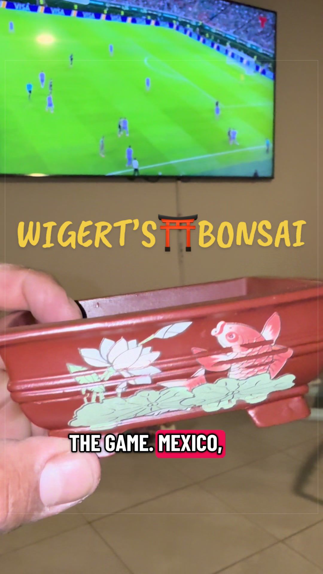 @BONZ&Aacute;IMBI&trade;️⛩️