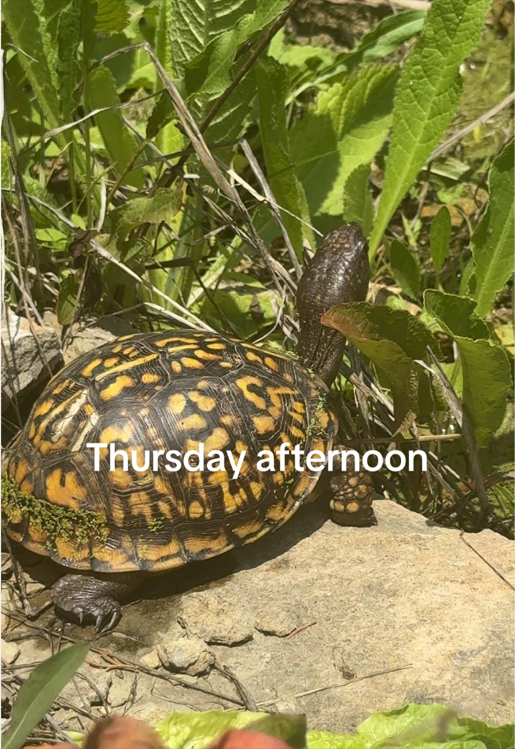 @bri 💌