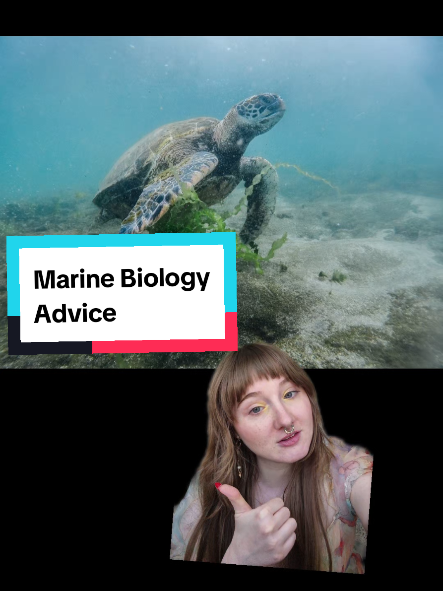 @Brooke Fitzwater, PhD