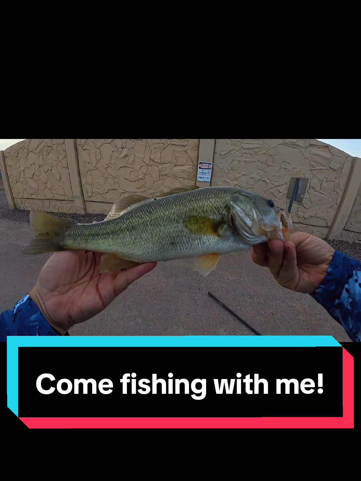 @SalmonInTheDesert