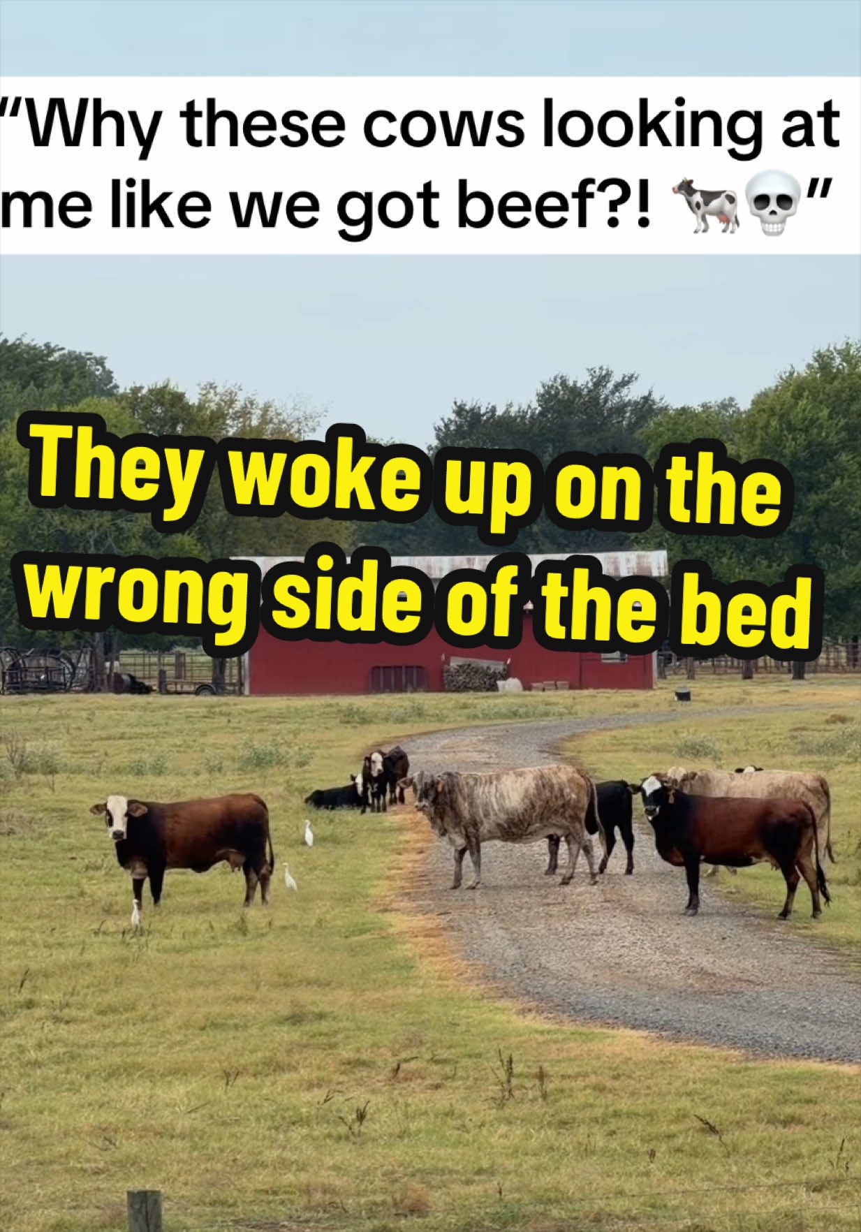 @bossdvincii