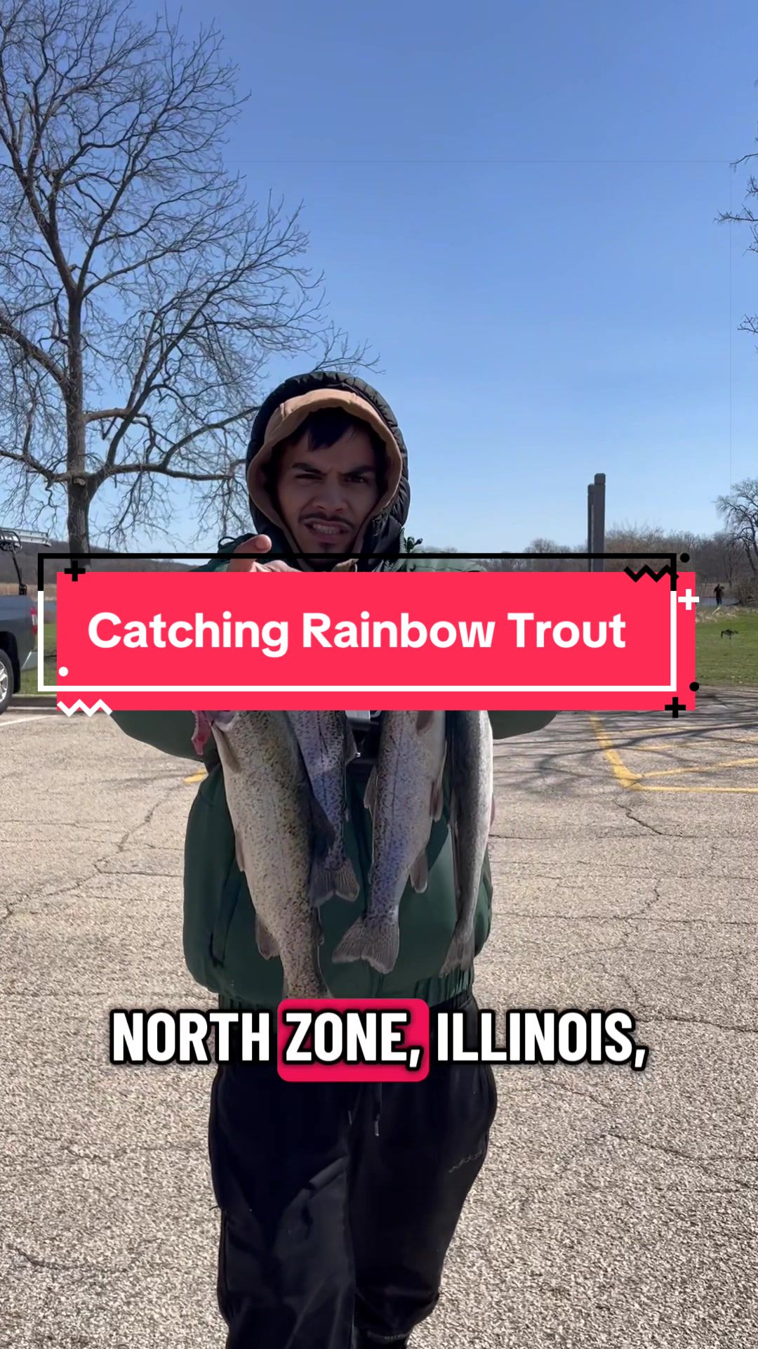 @Cujo Catches