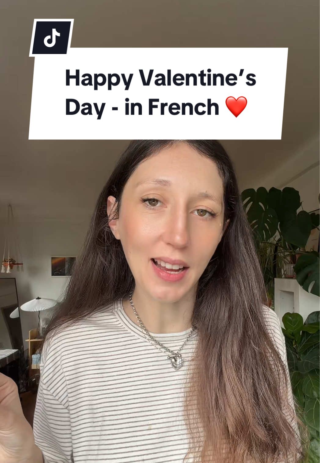 @Little Miss Frenchie