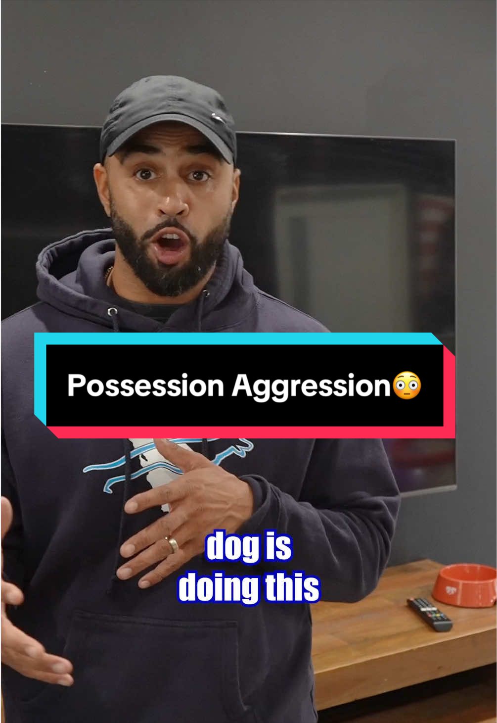 @Cali K9