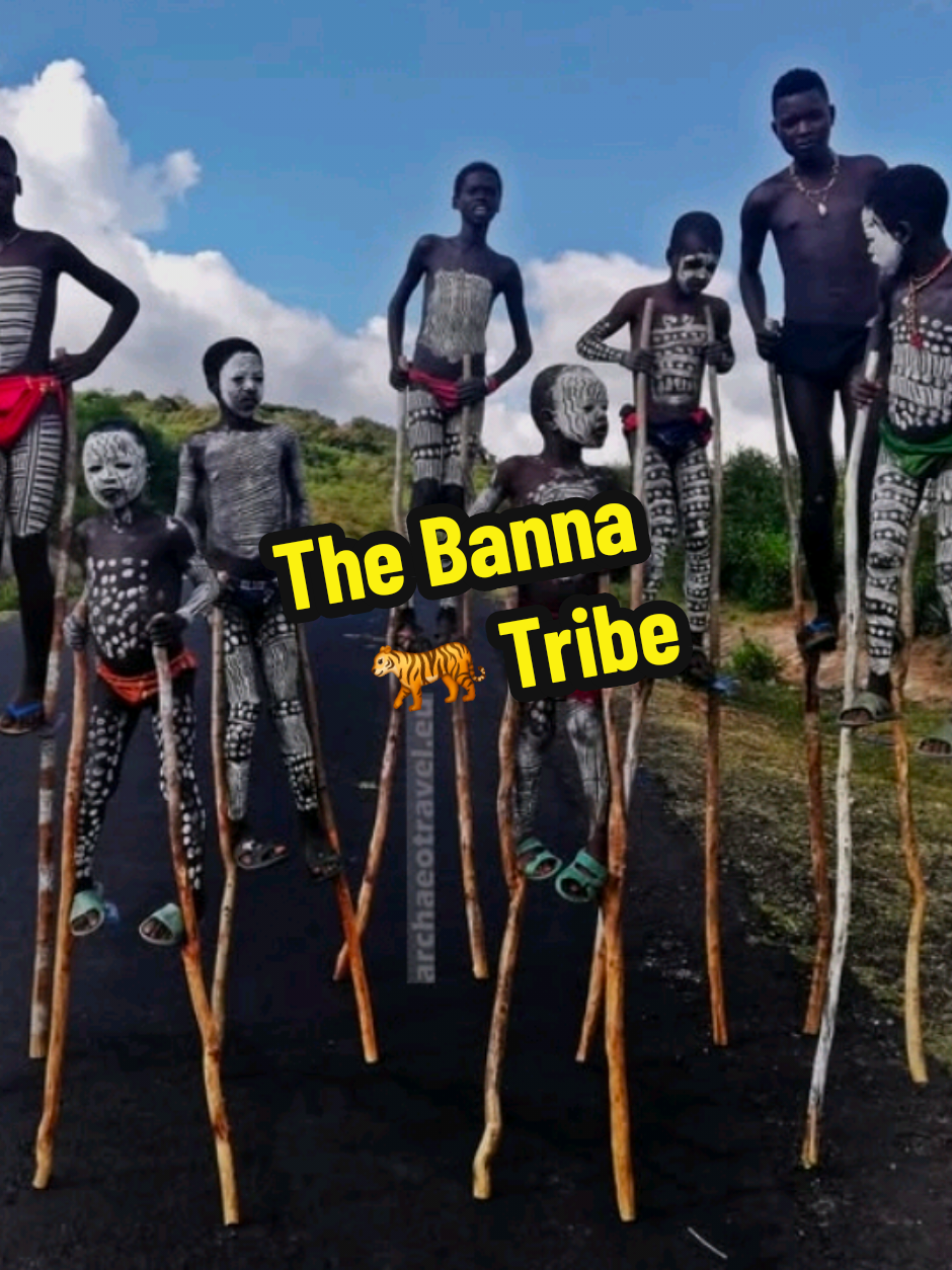 @Viral_Titans