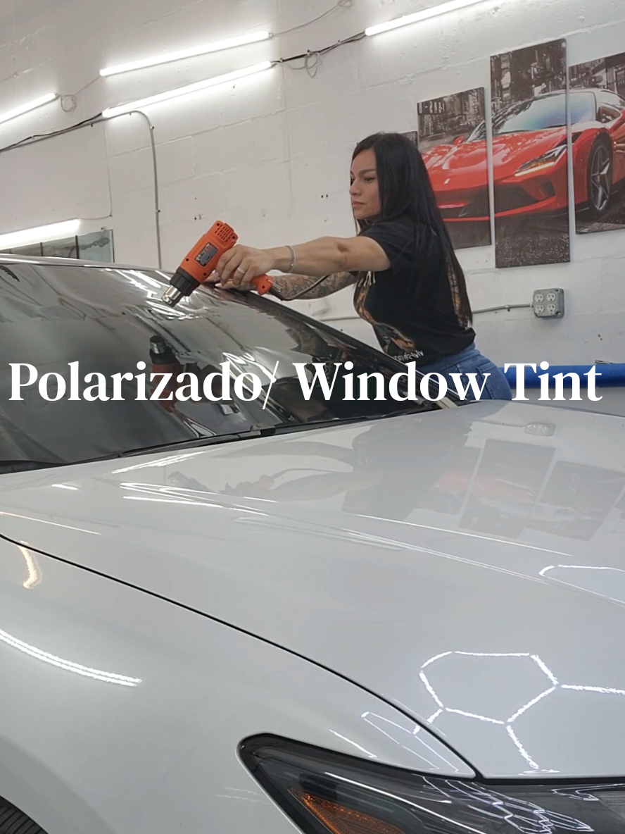 @Rosie 🌸 Windowtinting941