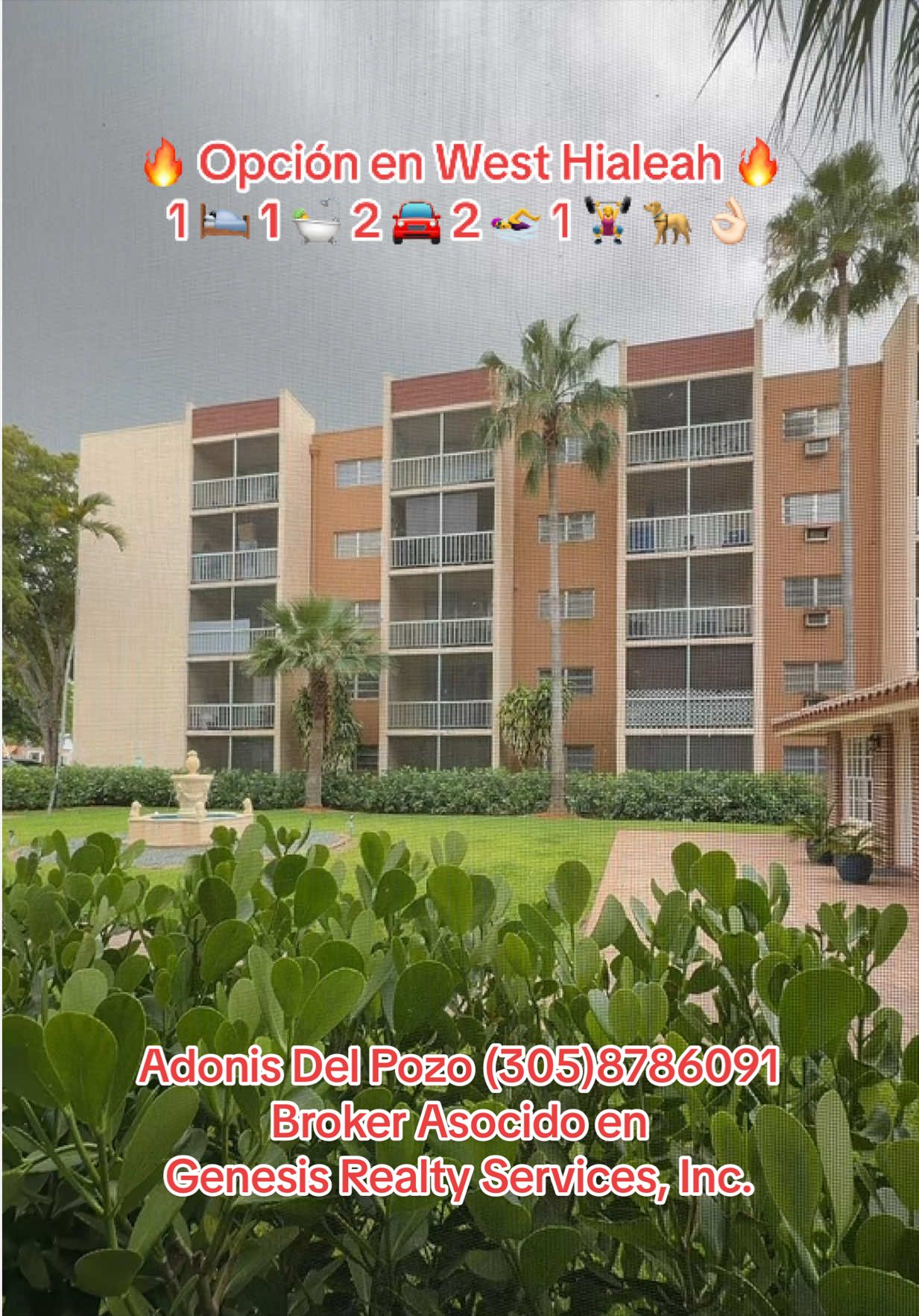 @Adonis Del Pozo