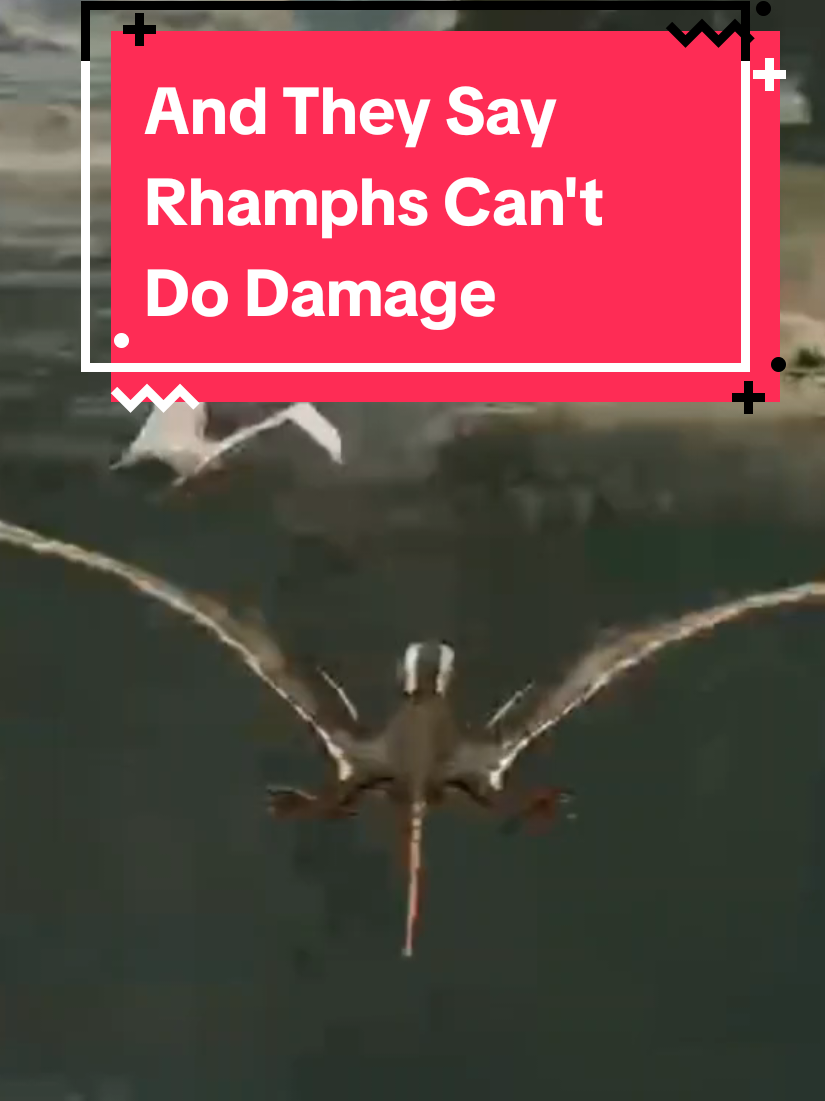 @Anti_Rhaye