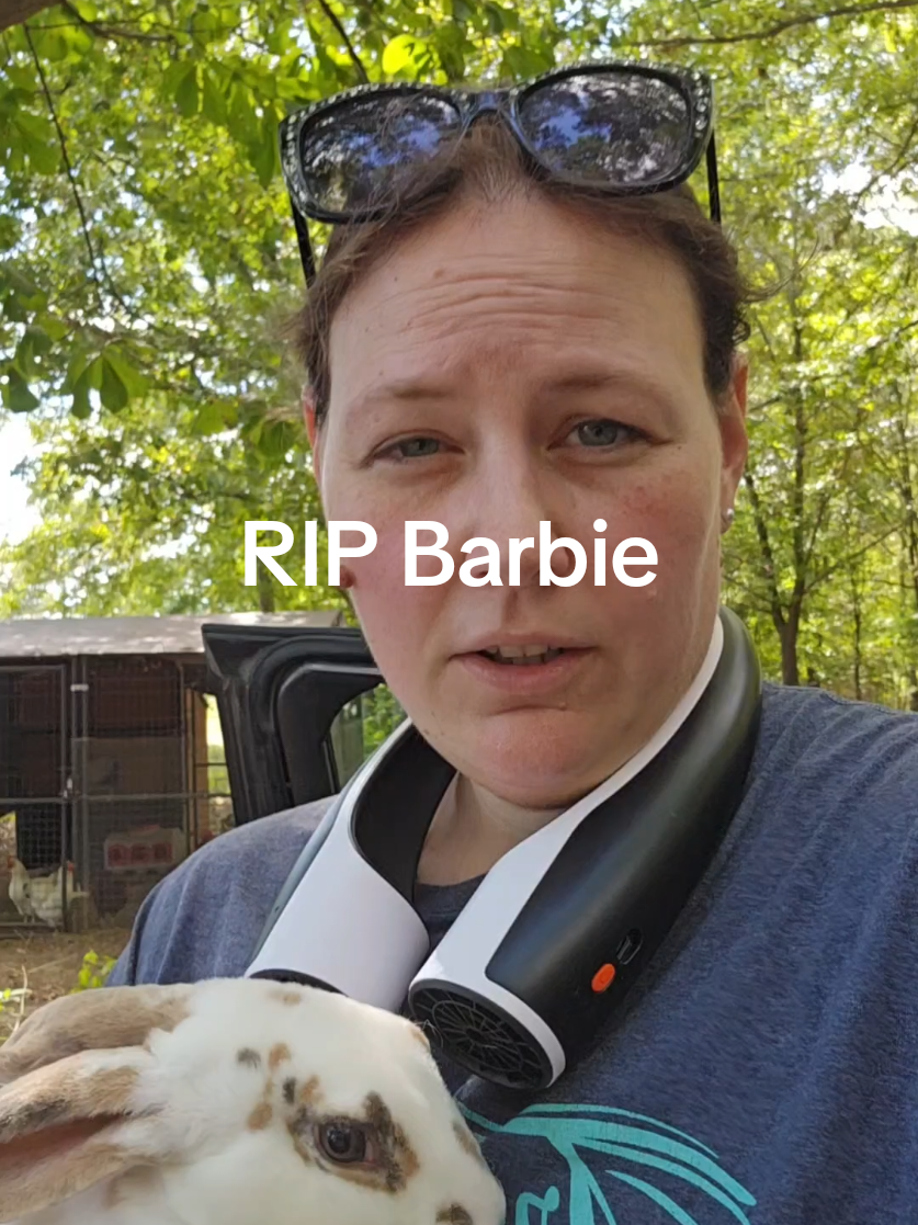 @Hidden Home Rabbitry