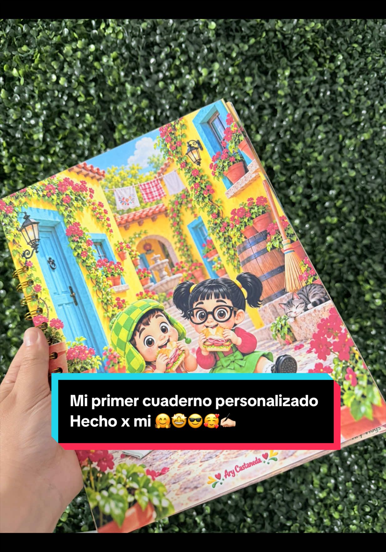 @Ary_Vlogs