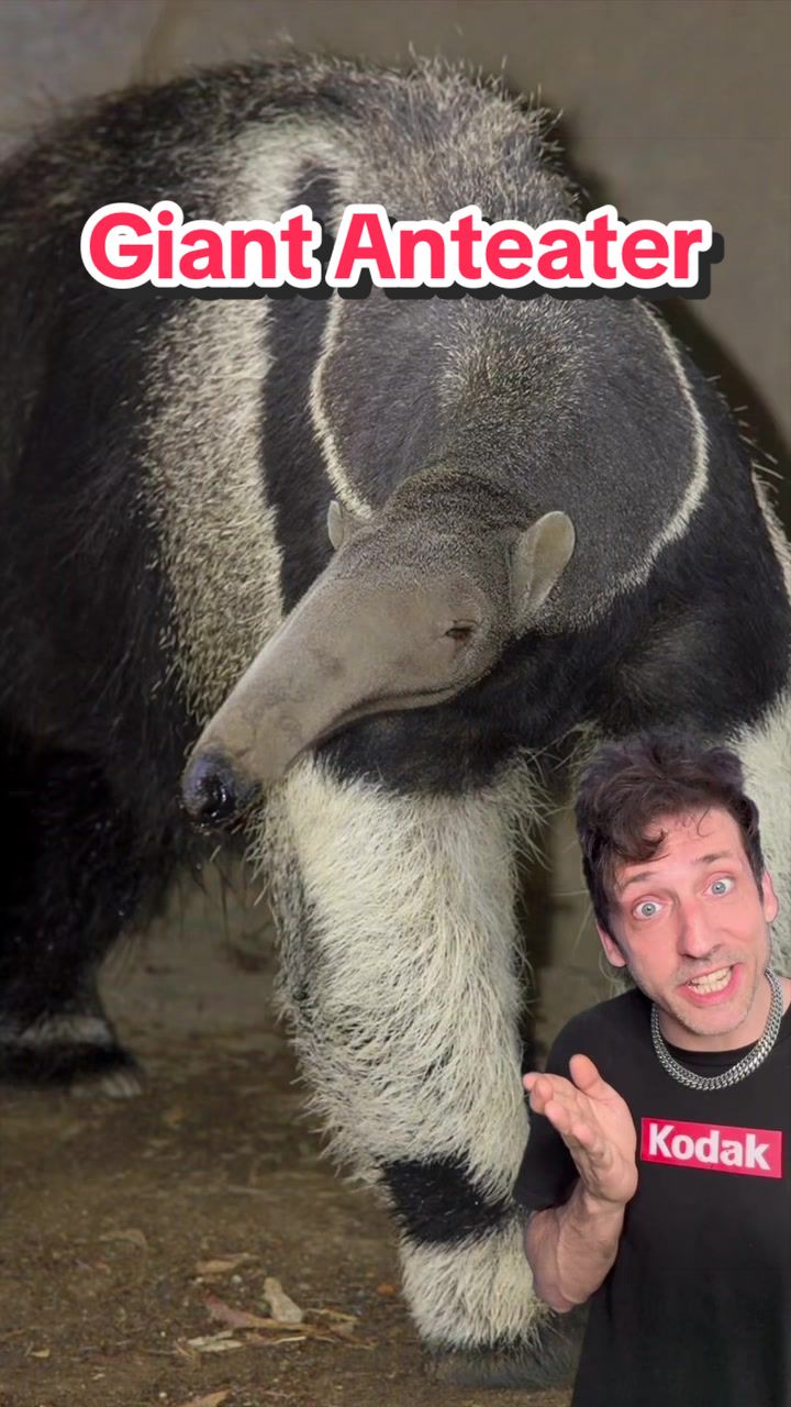 @Odd Danny