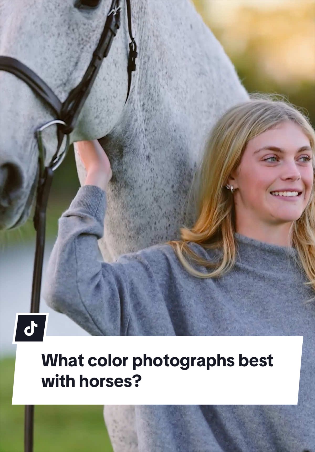 @Aubray | Equine Photographer