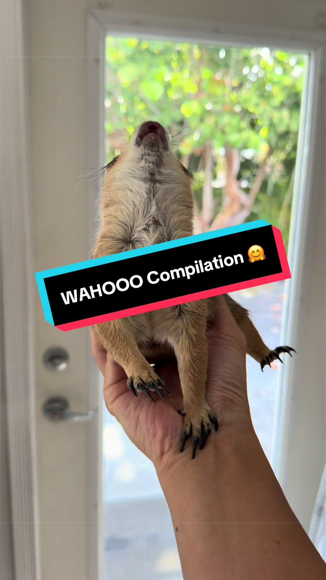 @Poppy the Prairie Dog