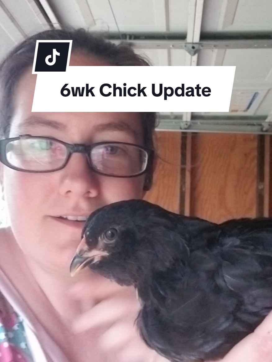 @CityChickenFarm