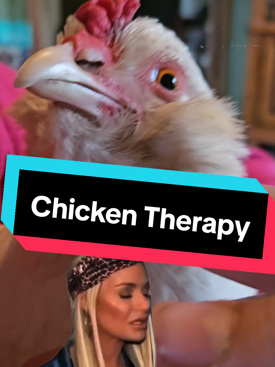 @The Ten Hens