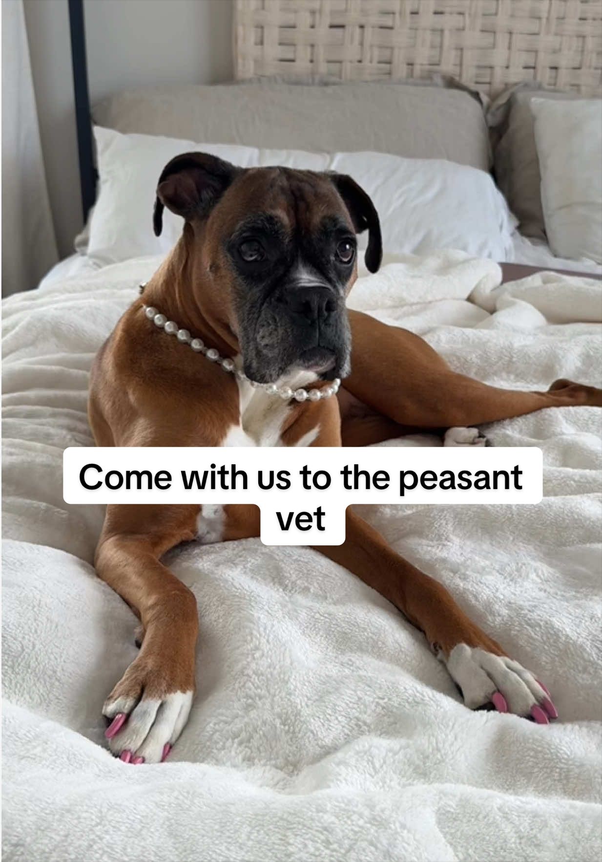 @Princess Poppy