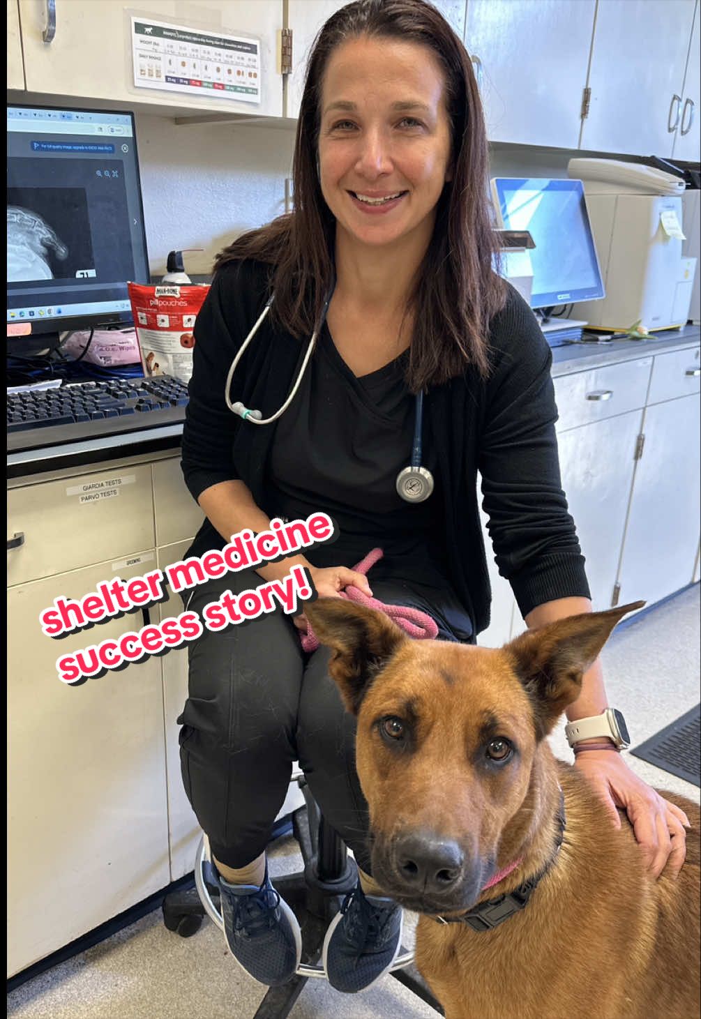 @Ventura County Animal Services