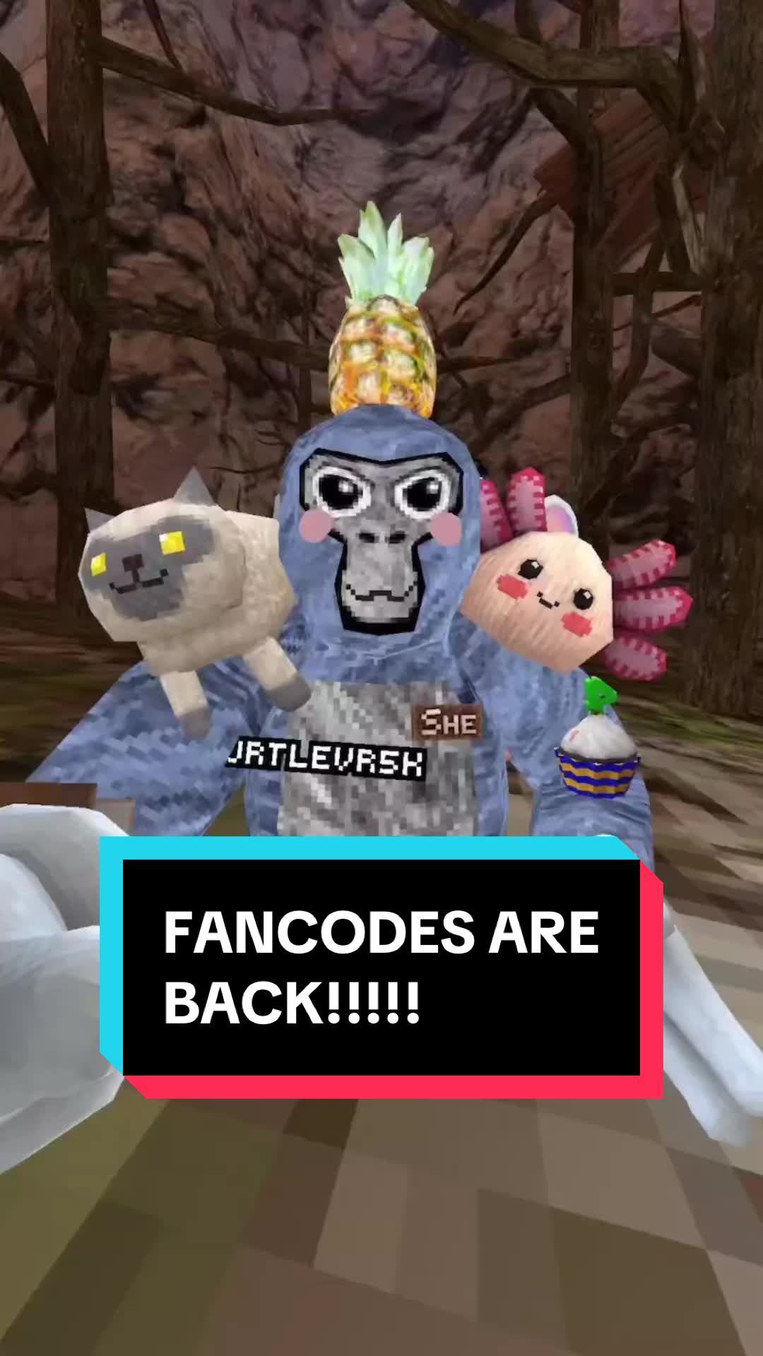 @💕TurtleVr🐢
