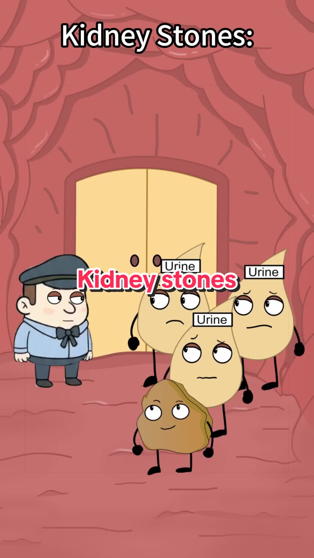 @Funny Animations