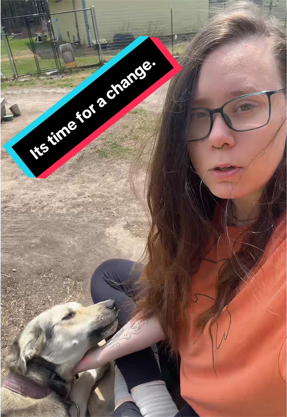 @Chasing The Wolves 🐕🛷