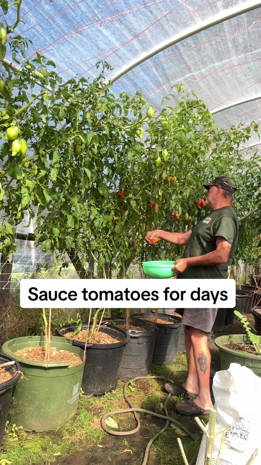 @GROWING_EDIBLE_PLANTS
