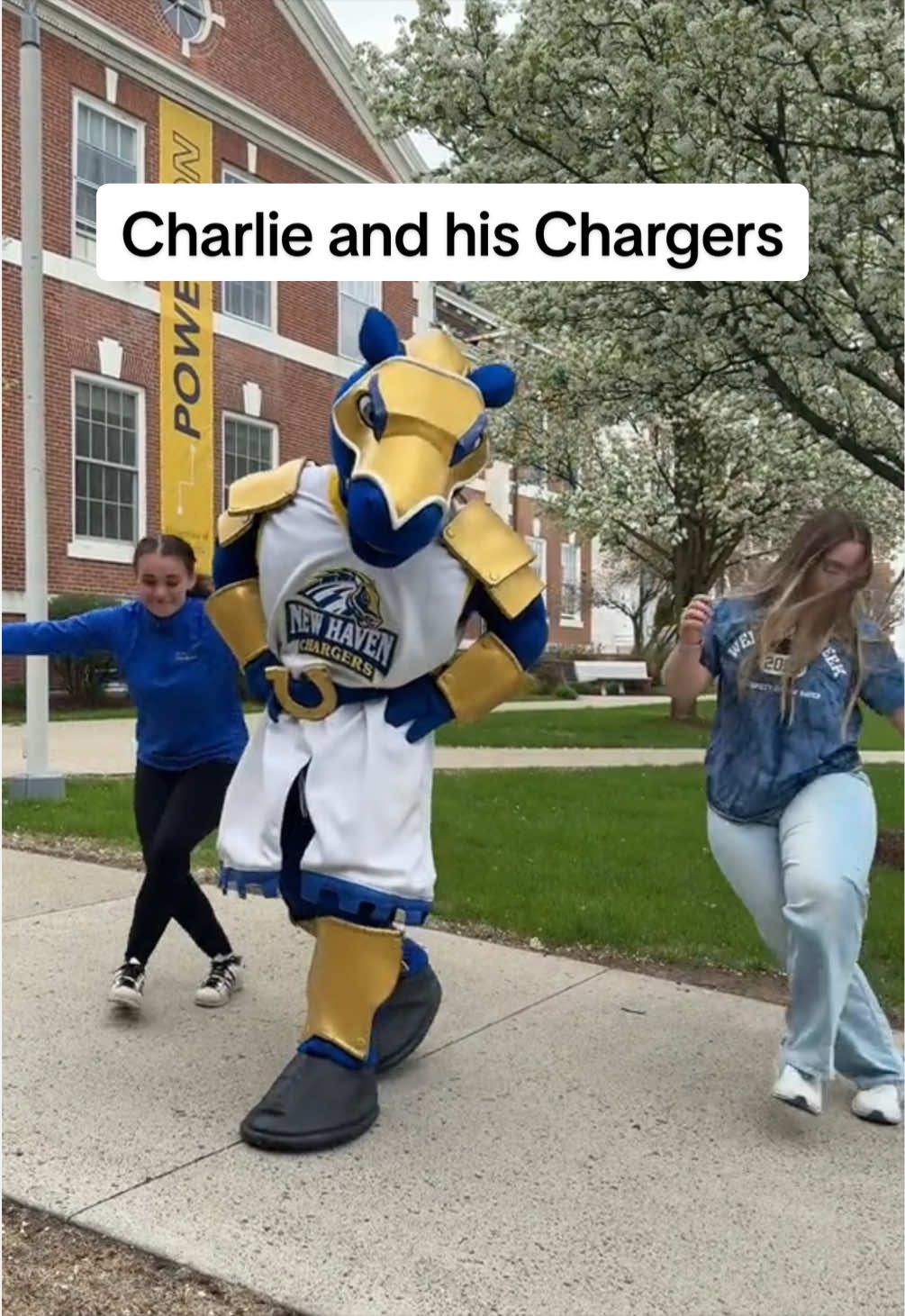 @University of New Haven