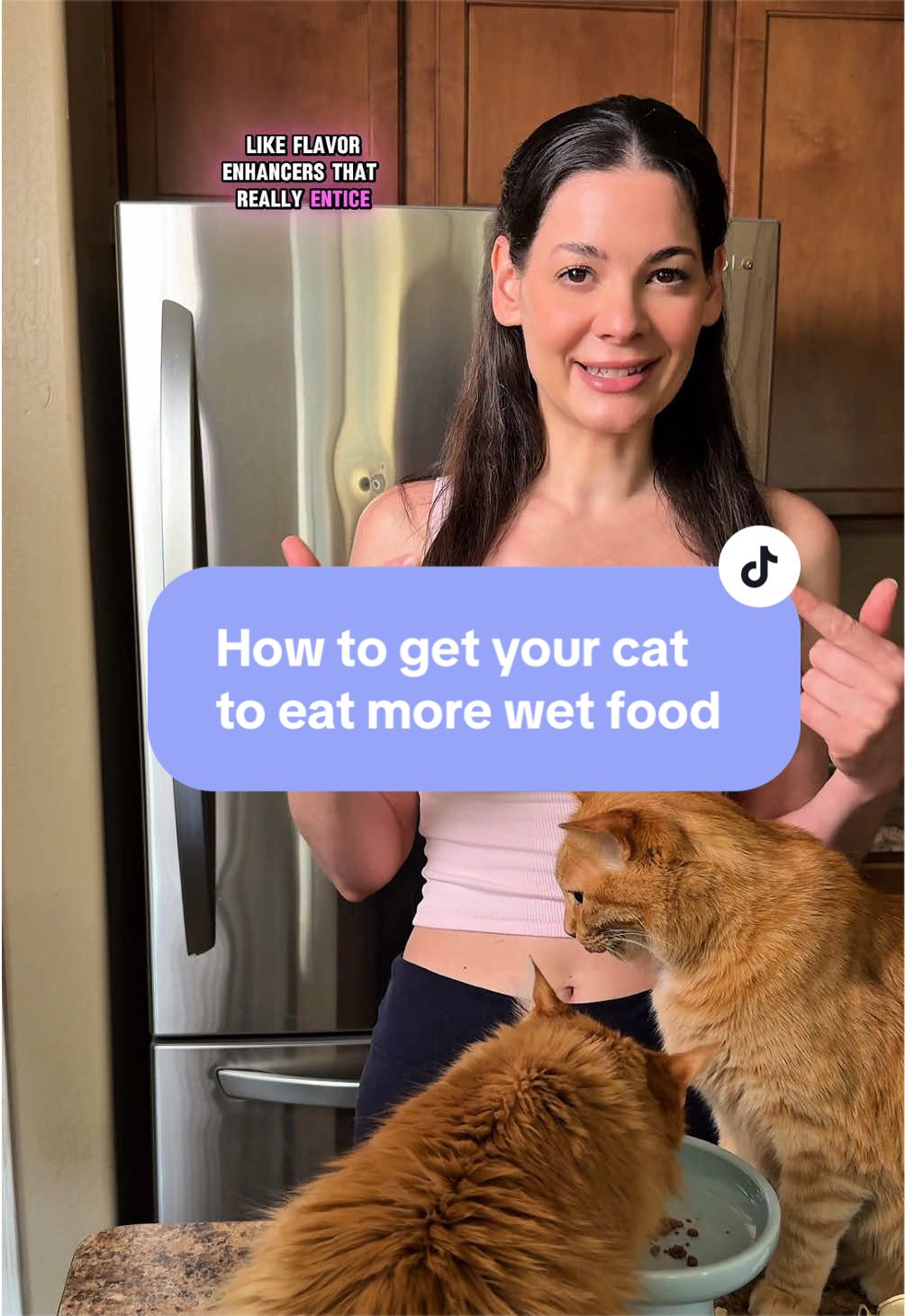 @Feminist Kitty | Cat Nutrition