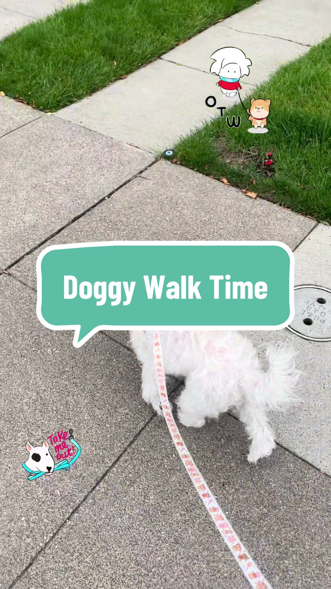 @Coco_puppysf