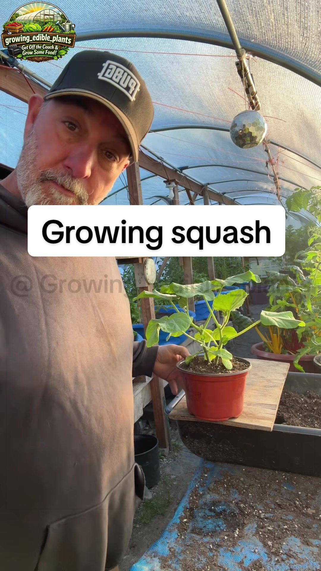 @GROWING_EDIBLE_PLANTS