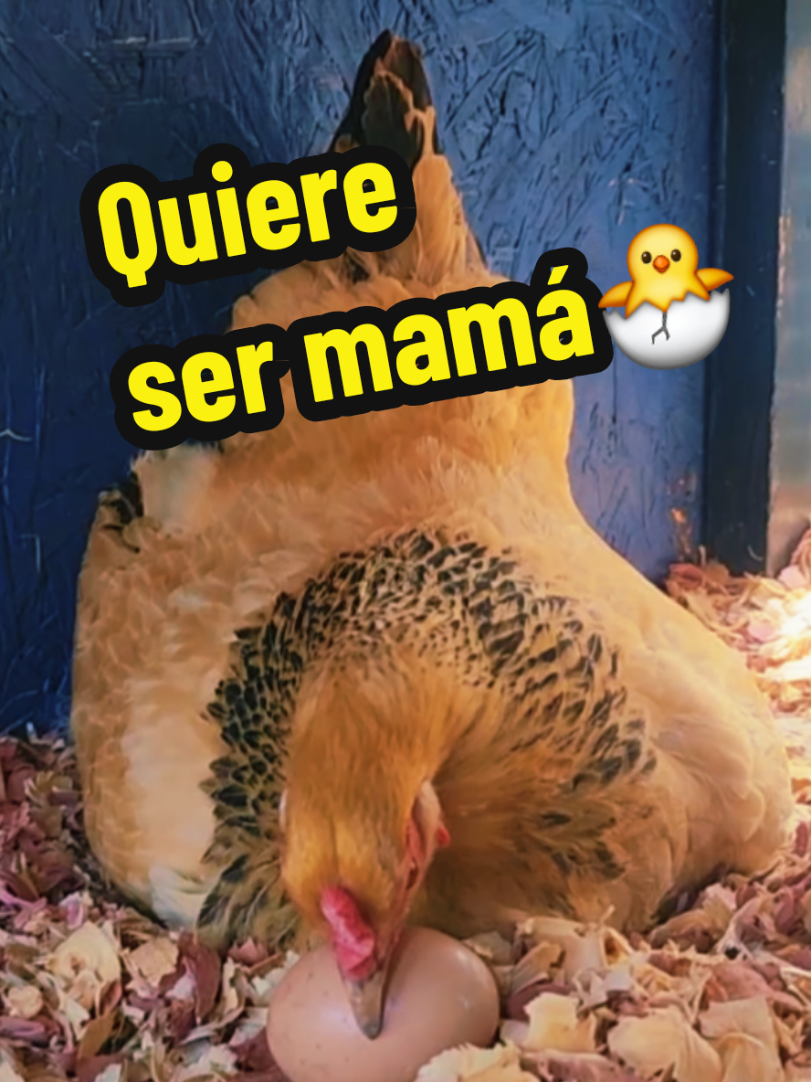 @Mi Rincón Favorito