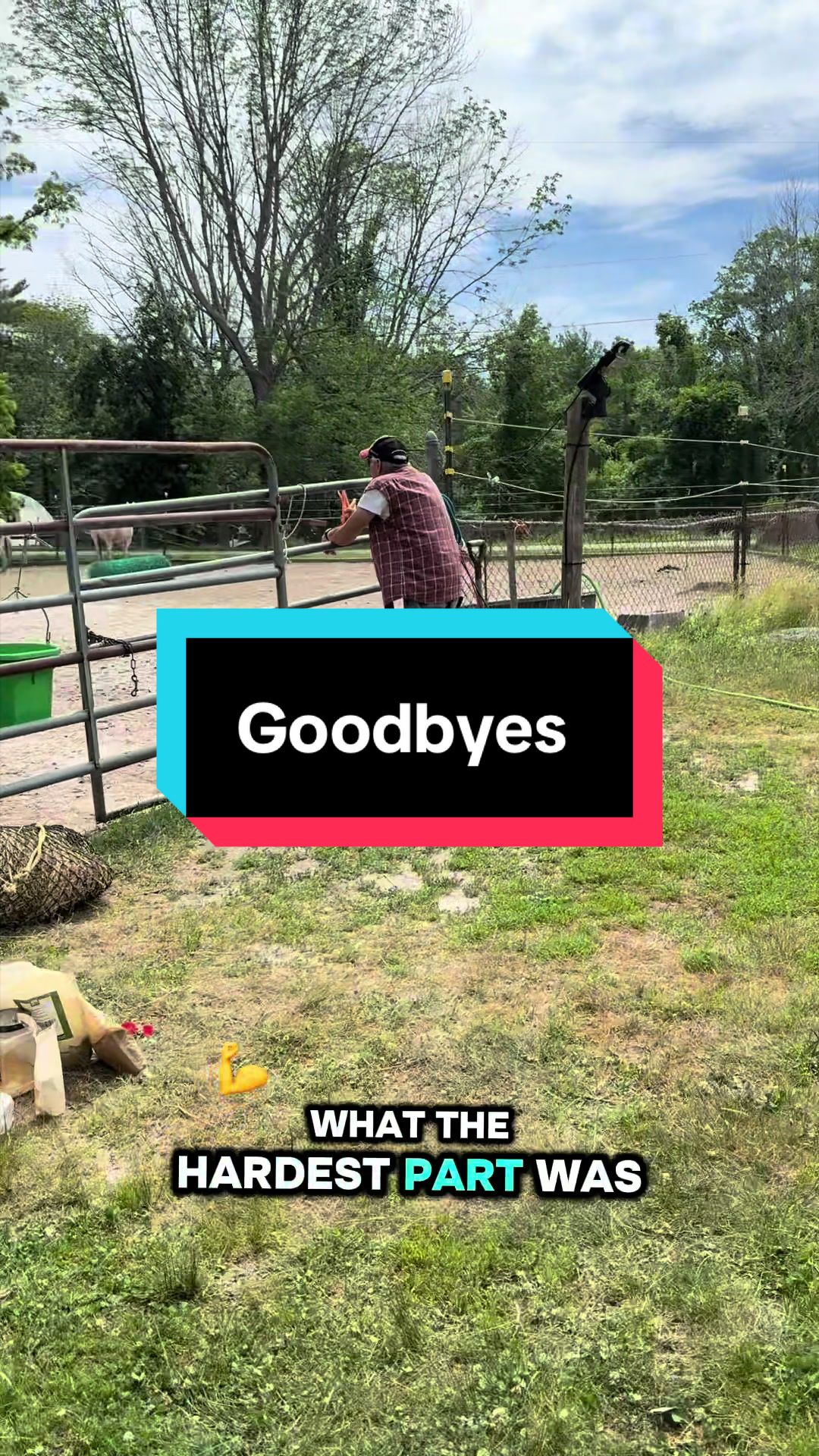 @Sandra’s pale herd 🐴