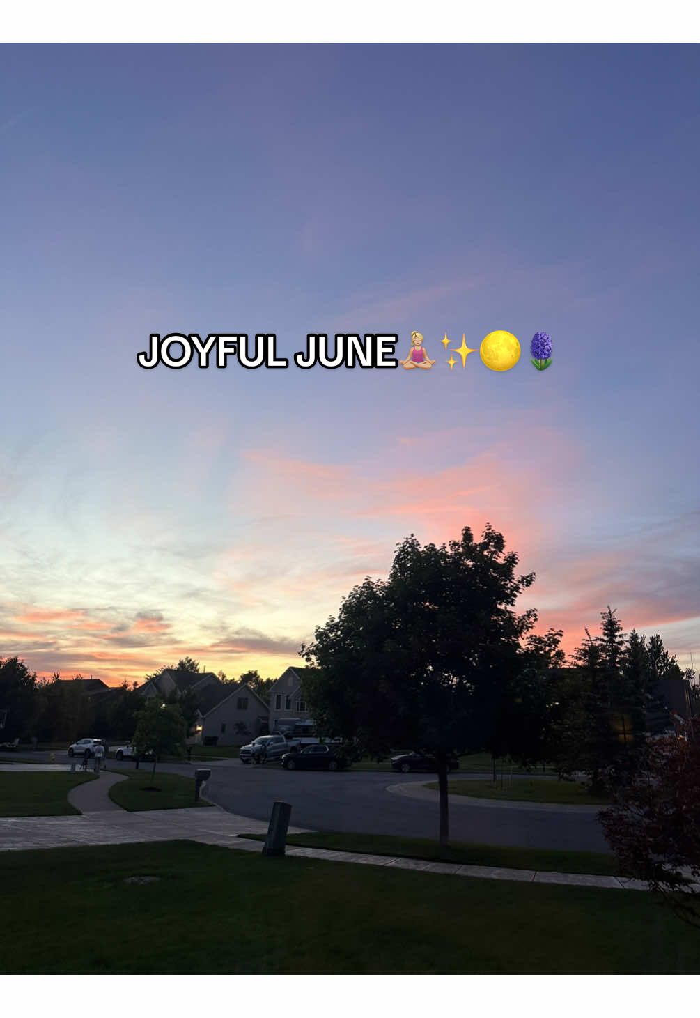 @lily🪷🪿🪷