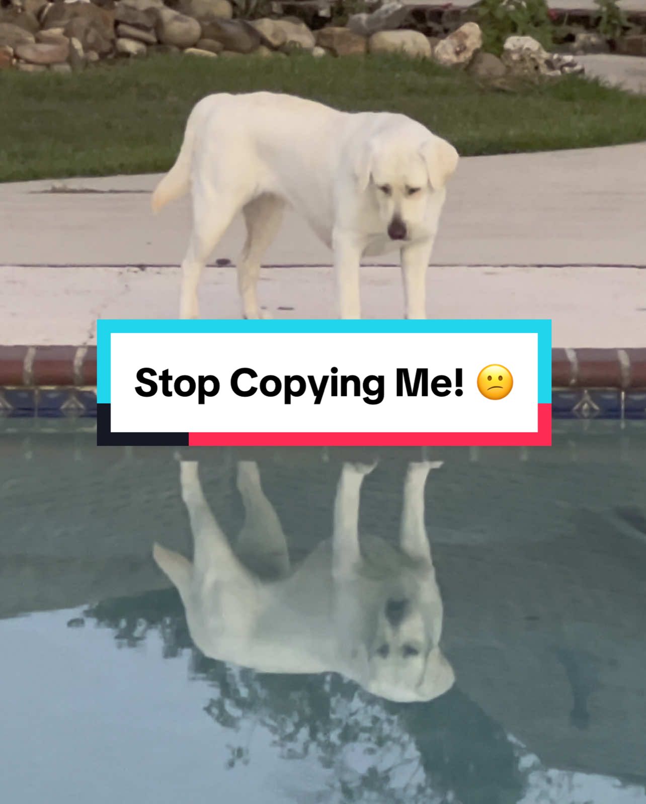 @goodenoughmediallc