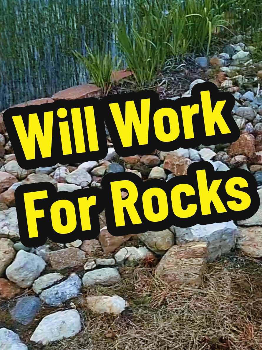 @RockGirlRocking