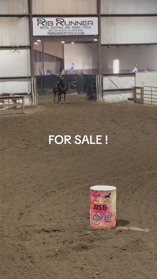 @Rodeogirl31