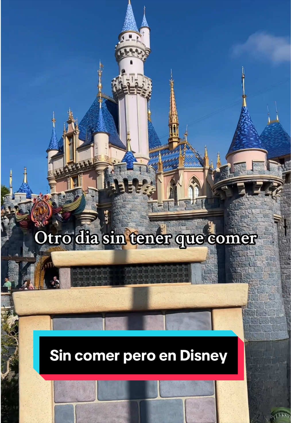 @En Disneylandia
