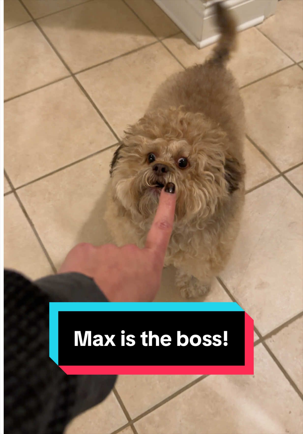 @Lil&rsquo; Max