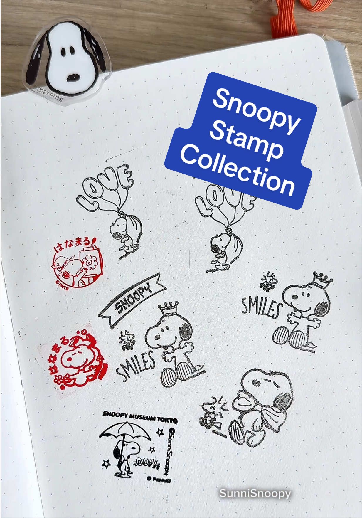 @SunniSnoopy