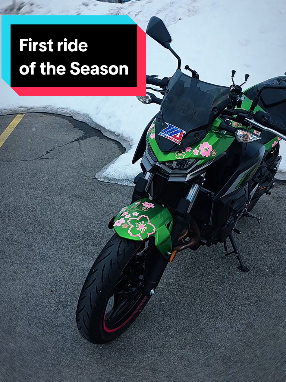 @Kimi ✨🏍️🐾💕⭐
