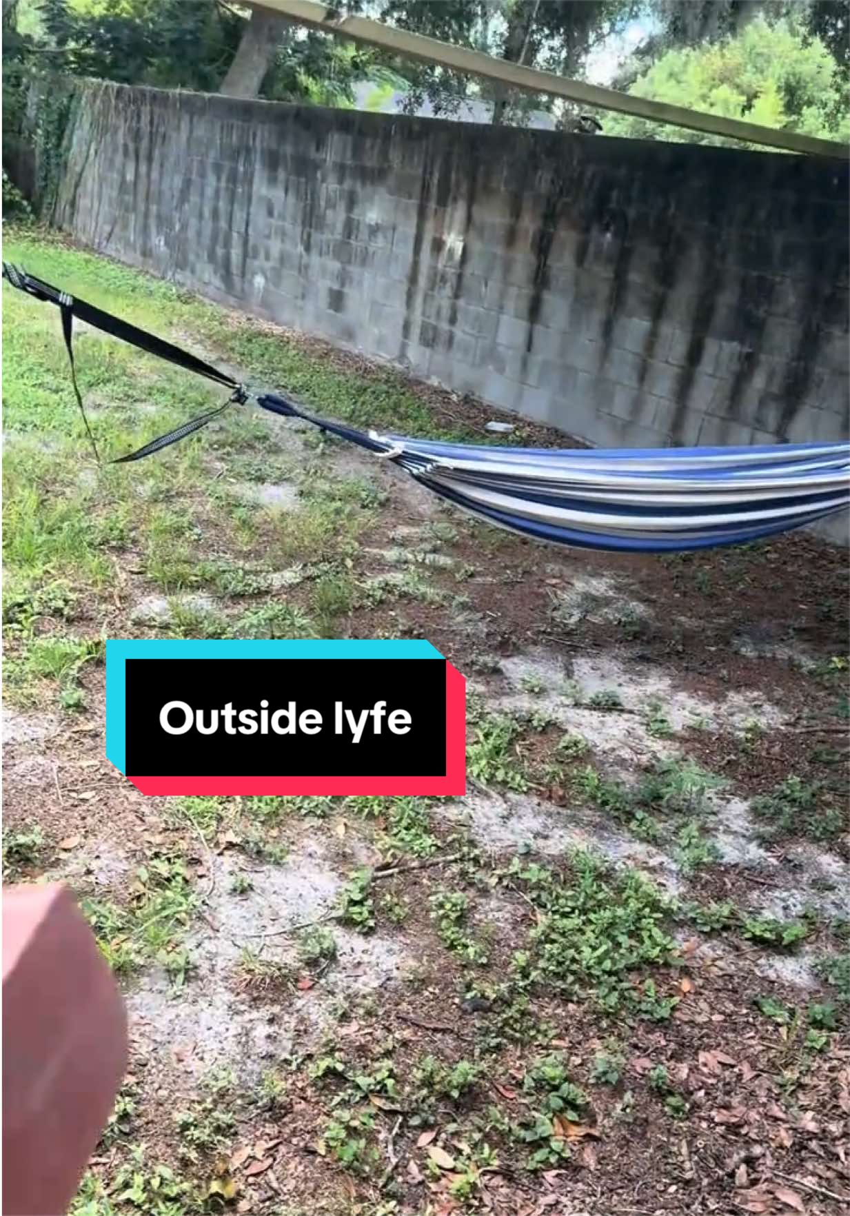 @Lizzzzzzzzzard🦎