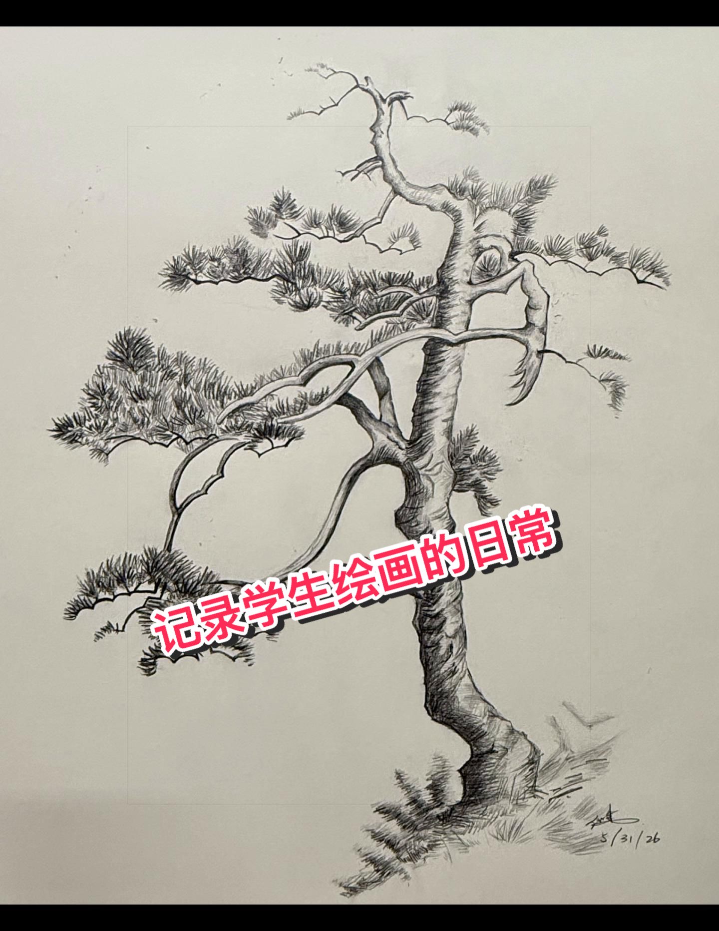 @画家赵纯