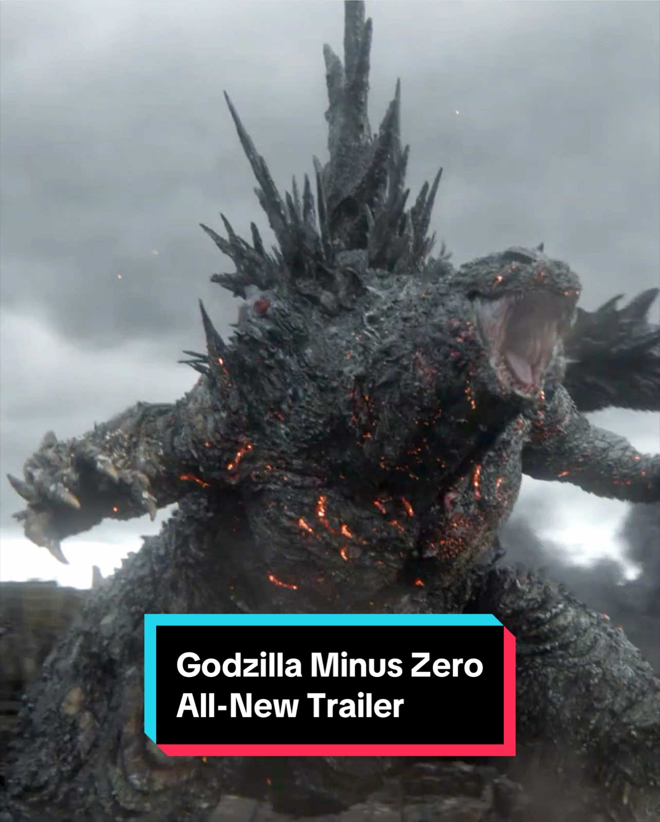 @Rotten Tomatoes