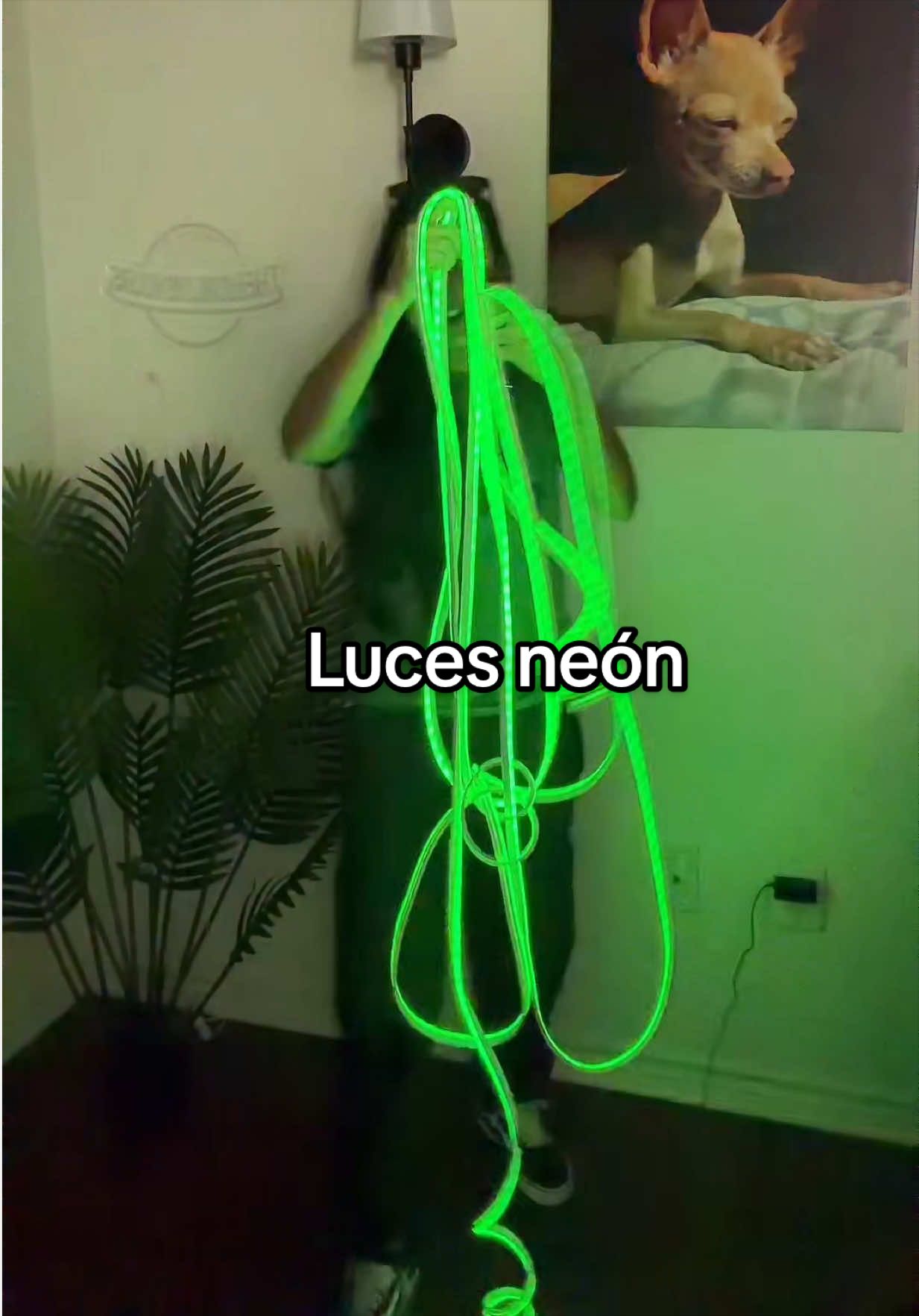 @DulceVause