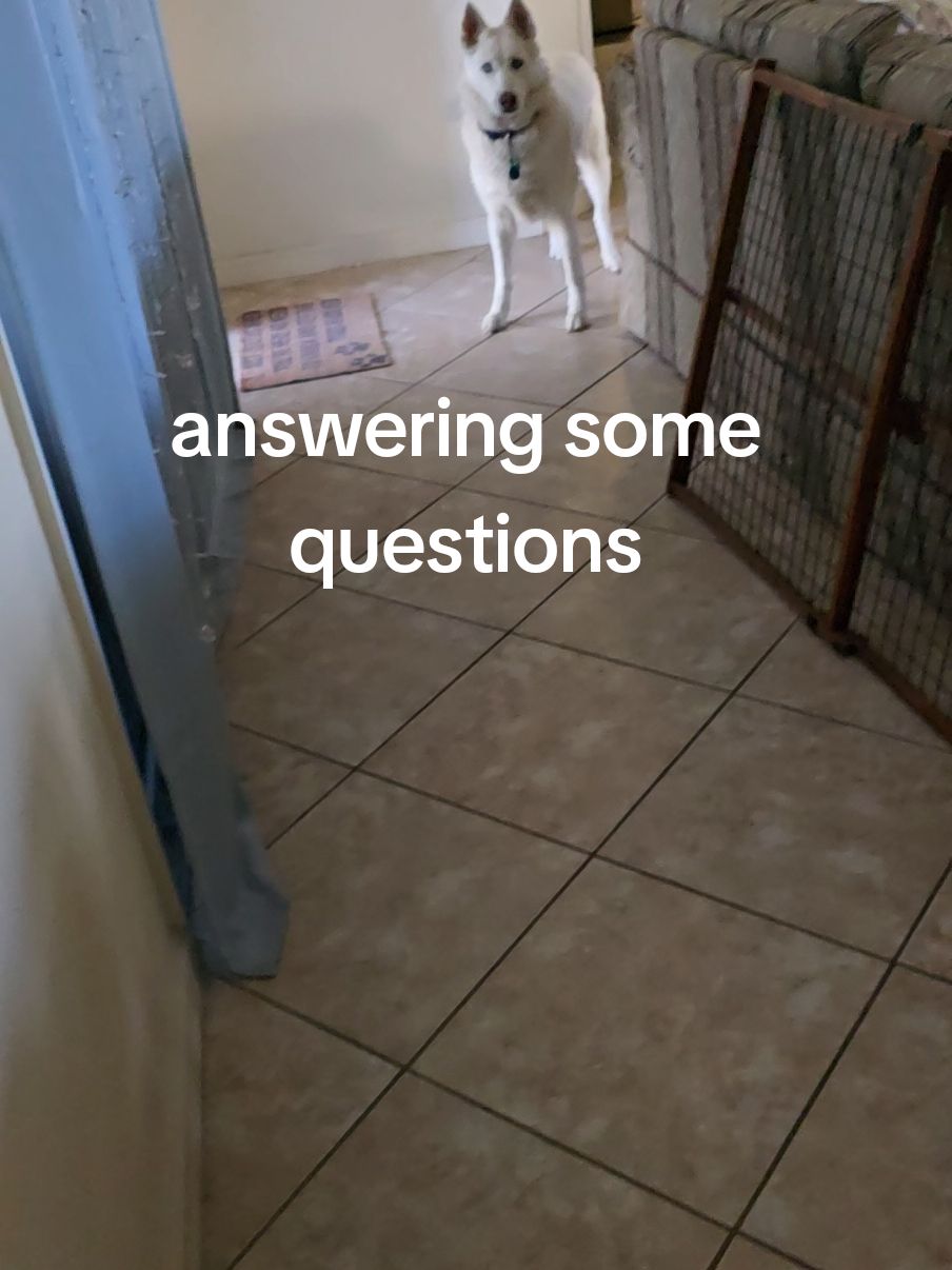 @Moon and Apollo