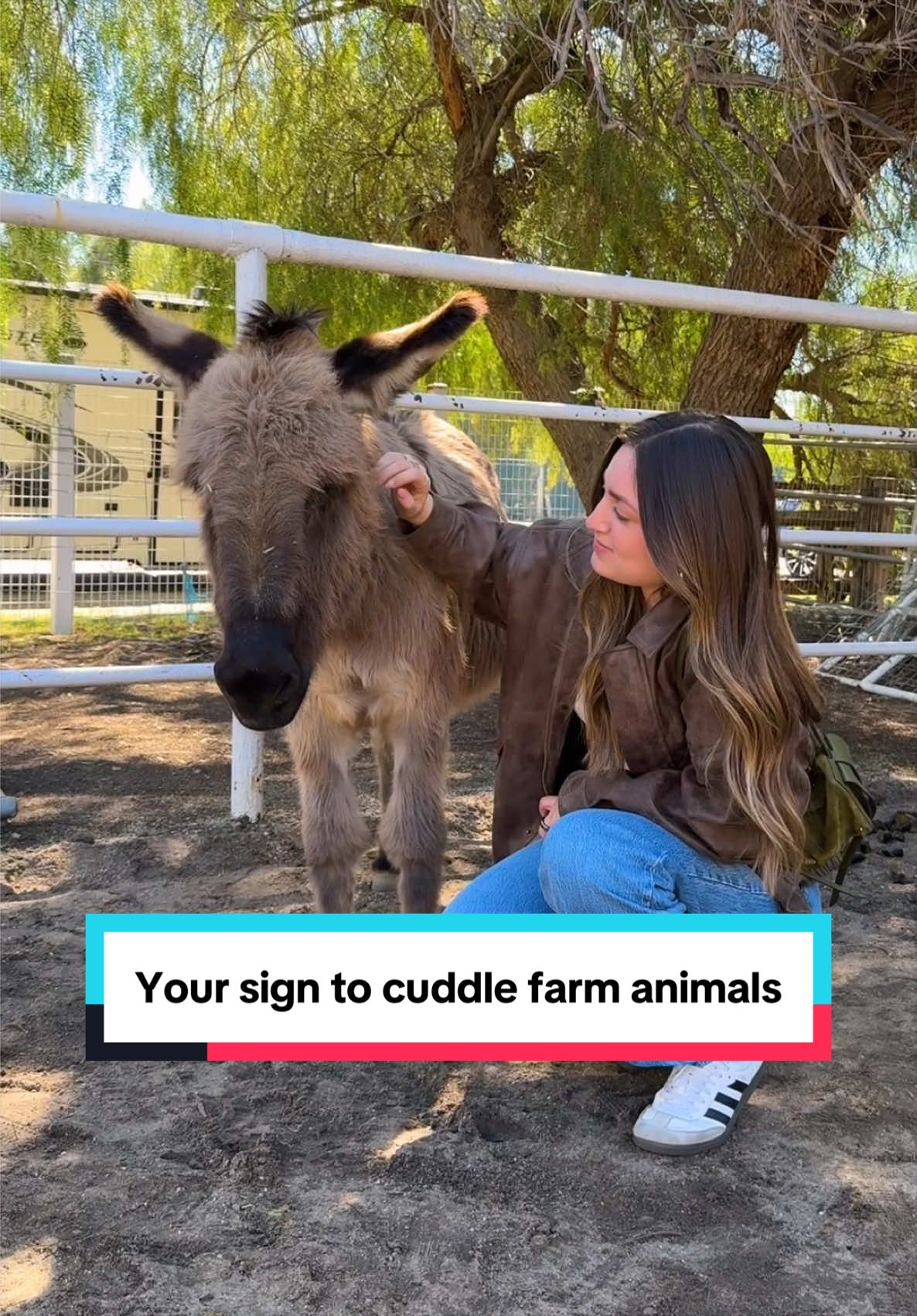 @The Gentle Barn | Sanctuary