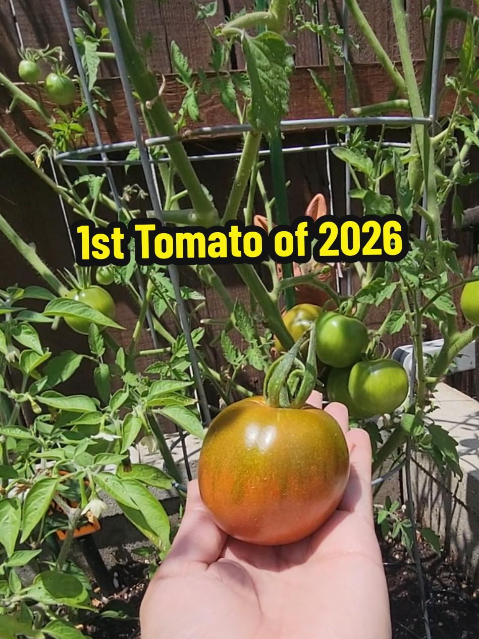 @Grateful_Gardening