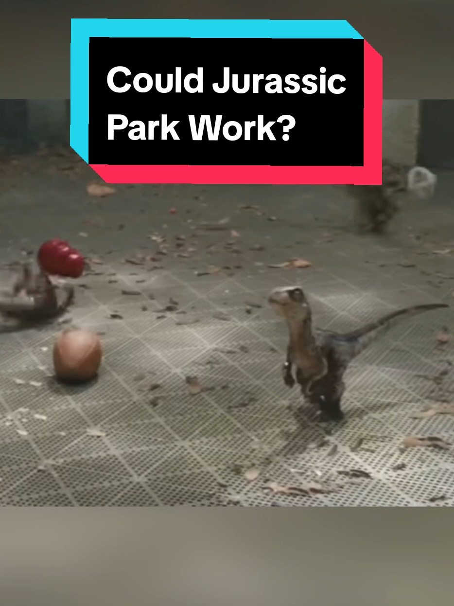 @The Dinosaur Man