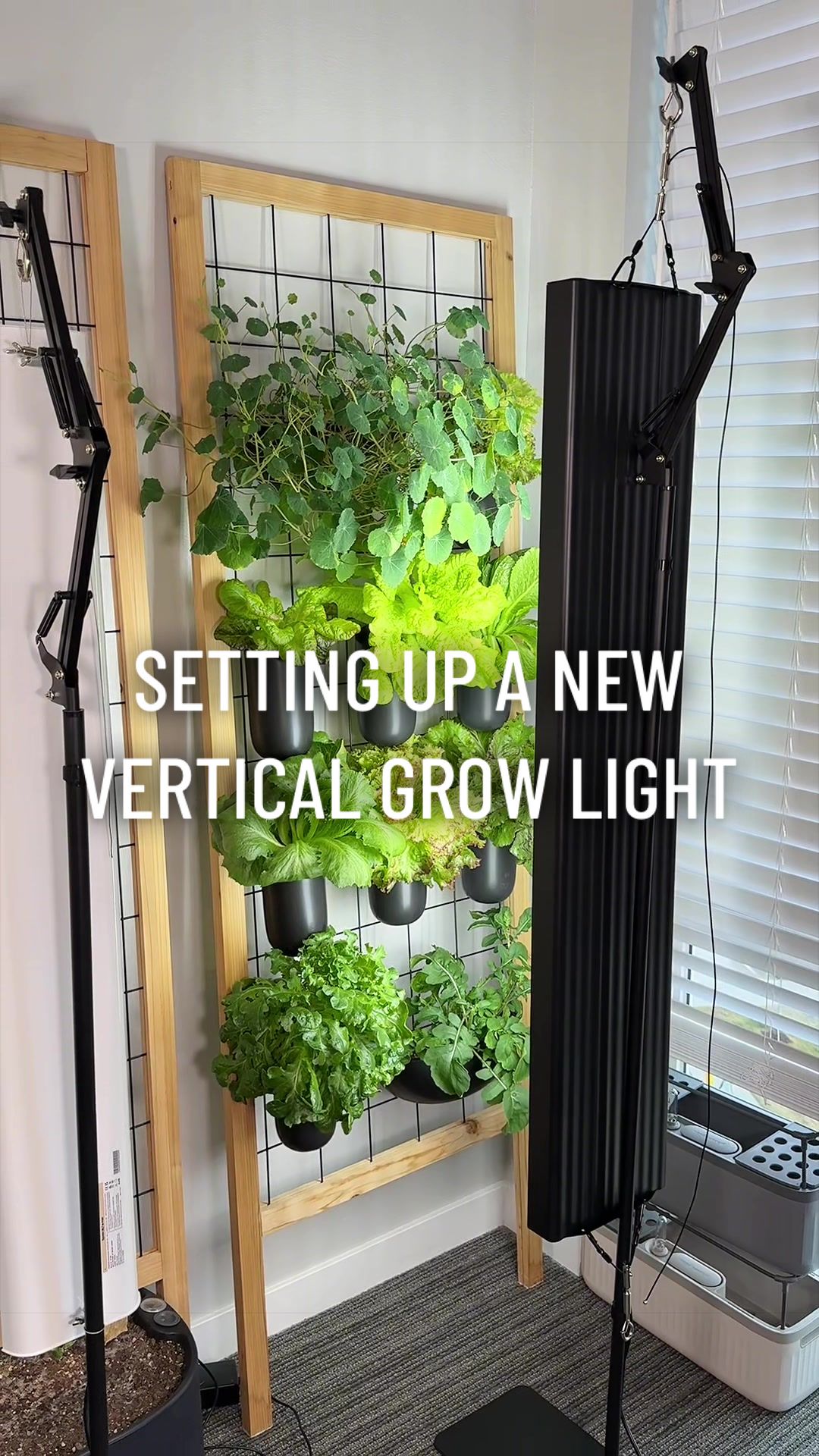 @gardeningindoors