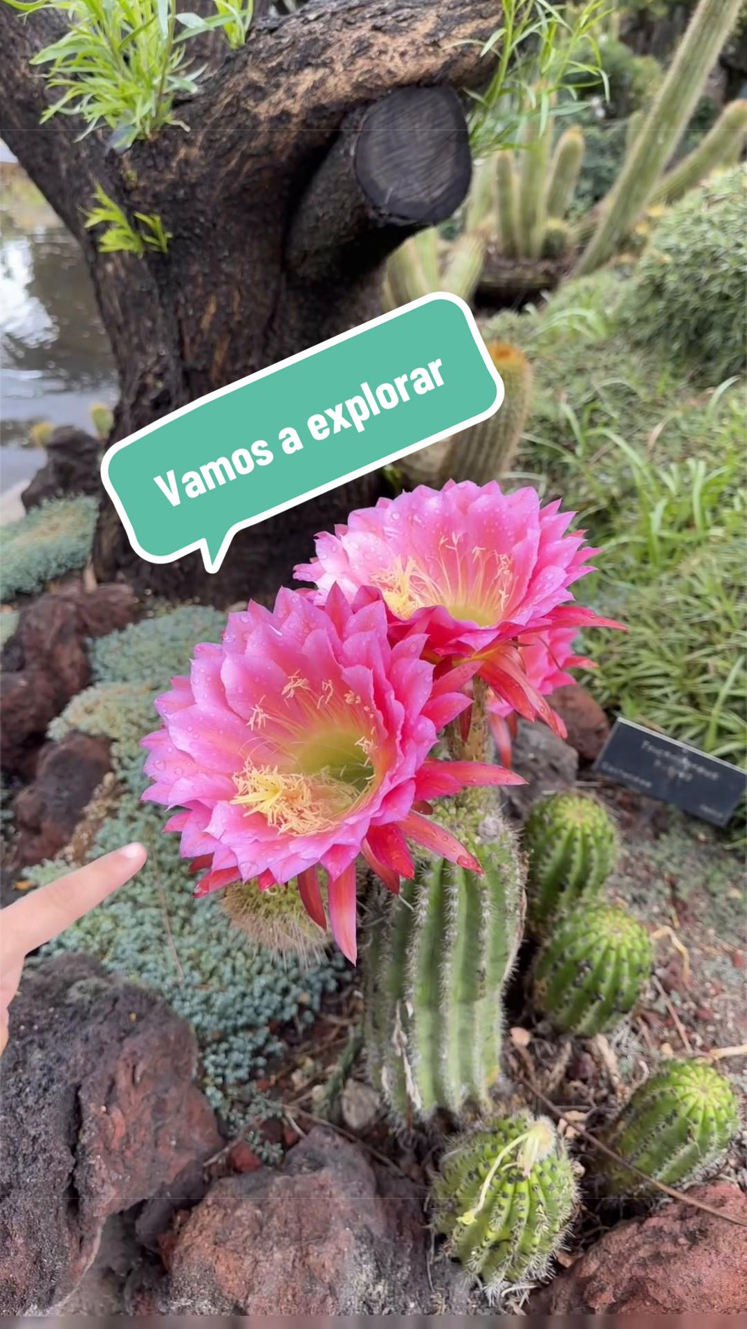 @Sergio Alvarez